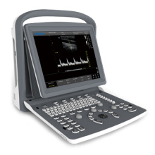 Ultrasonic Ultrasound Scanner Black White Doppler Laptop Portable (SC-ECO2)